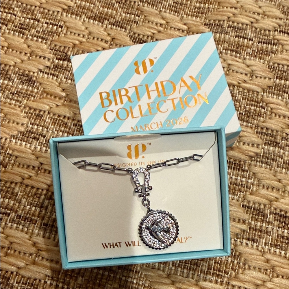 March Birthday 2026 Necklace - hematite